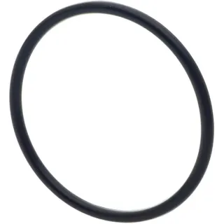 O-ring 39.34 x 2.62mm CI028521 Carraro
