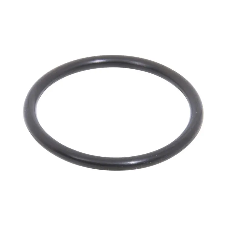 O-ring CI028623 Carraro