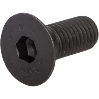 Screw CI020510 Carraro
