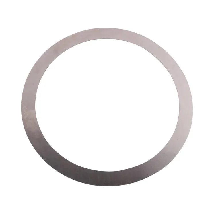 Washer CI020694 Carraro