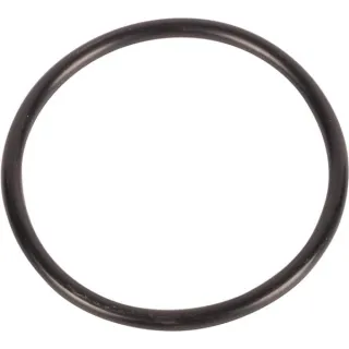 O-ring CI028557 Carraro
