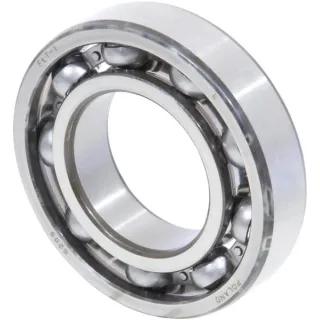 Ball bearings (1 ring) CI025829 Carraro