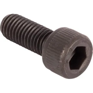 Screw CI021409 Carraro
