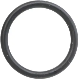 O-ring CI028189 Carraro