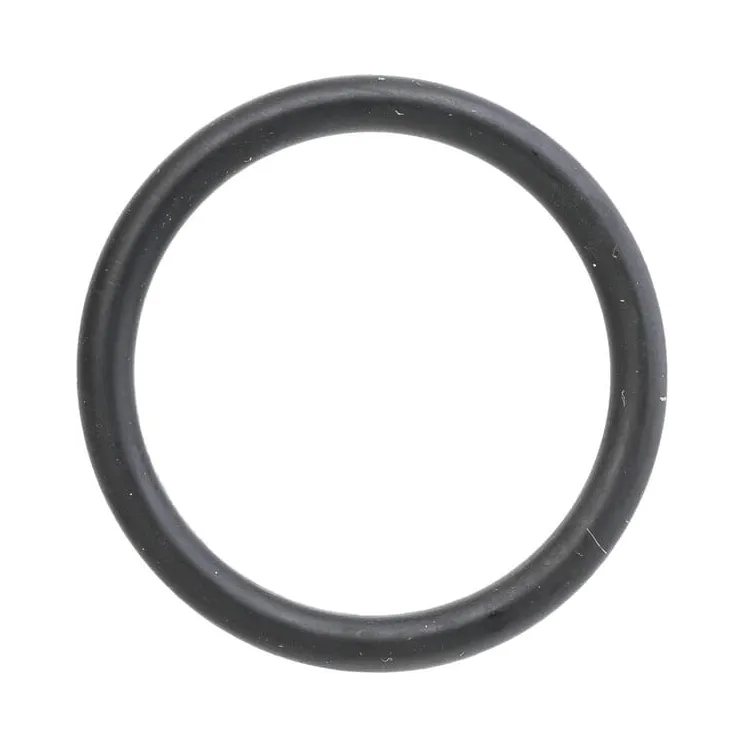 O-ring CI028189 Carraro