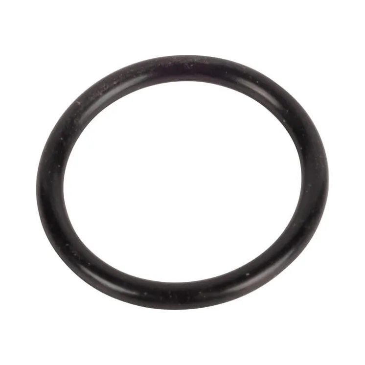 O-gredzens CI028129 Carraro