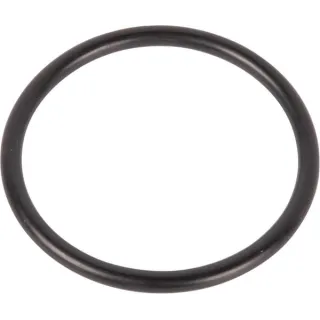 O-gredzens CI028141 Carraro