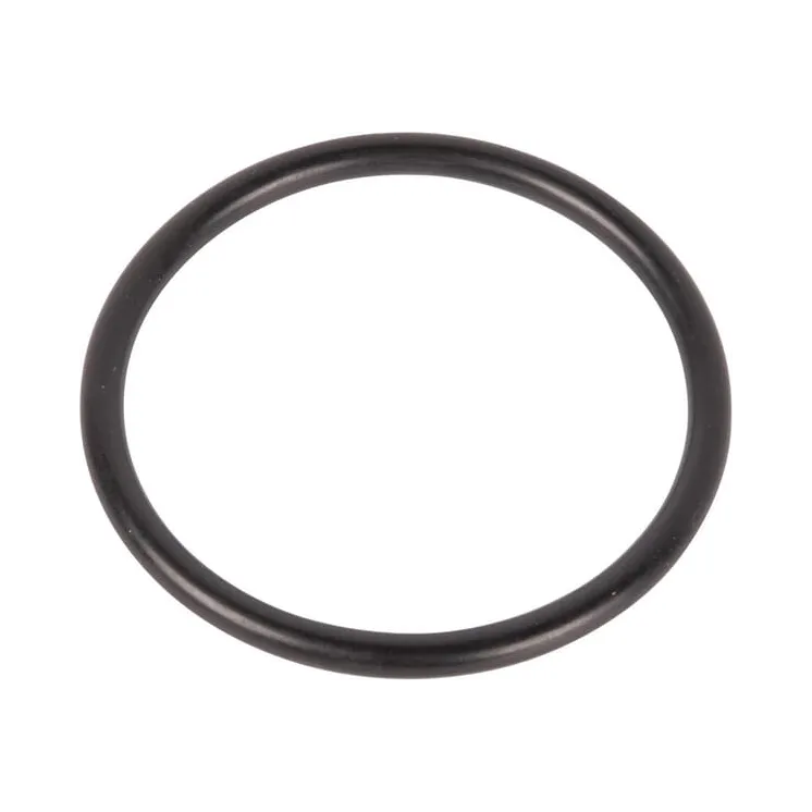 O-gredzens CI028141 Carraro