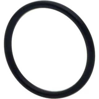 O-gredzens CI028131 Carraro