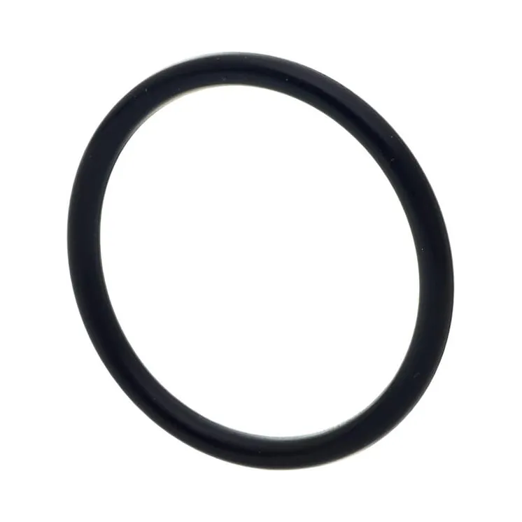 O-gredzens CI028131 Carraro