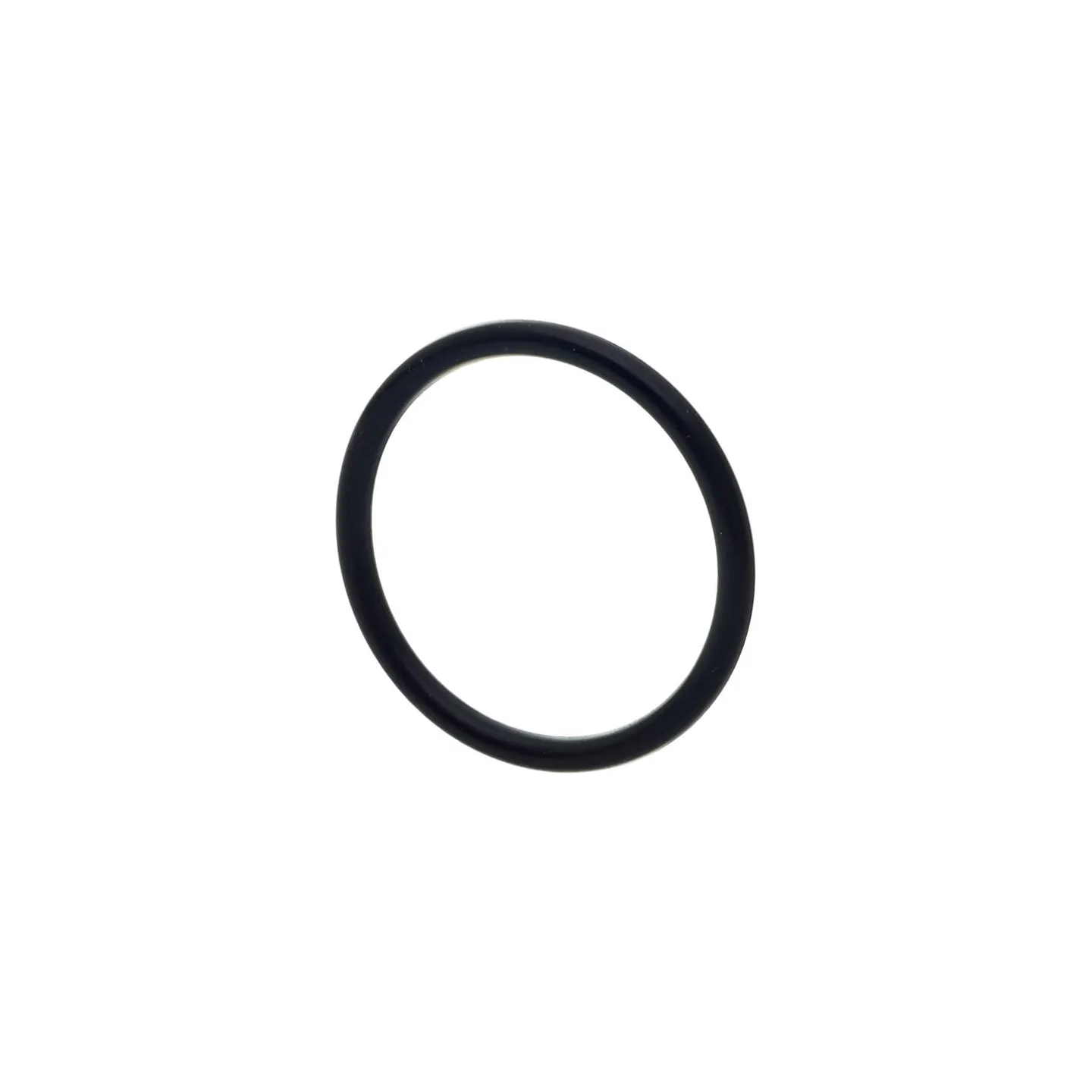 O-gredzens CI028131 Carraro