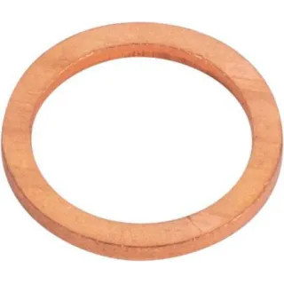 Blīvslēgs CI023262 Carraro