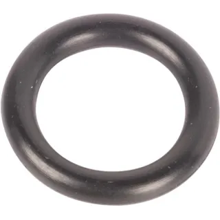 O-gredzens CI028108 Carraro
