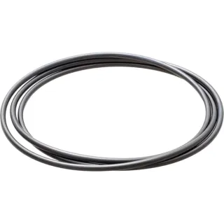 O-gredzens CI028565 Carraro