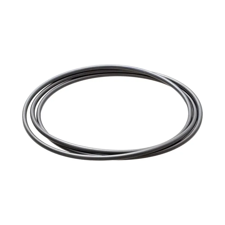 O-gredzens CI028565 Carraro