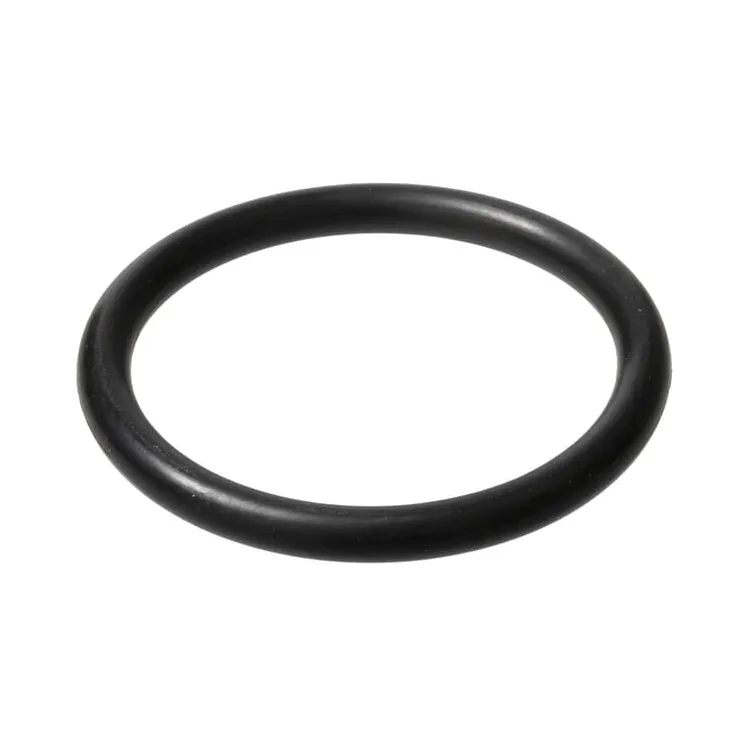 O-gredzens CI028134 Carraro