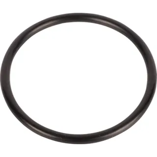 O-gredzens CI028604 Carraro