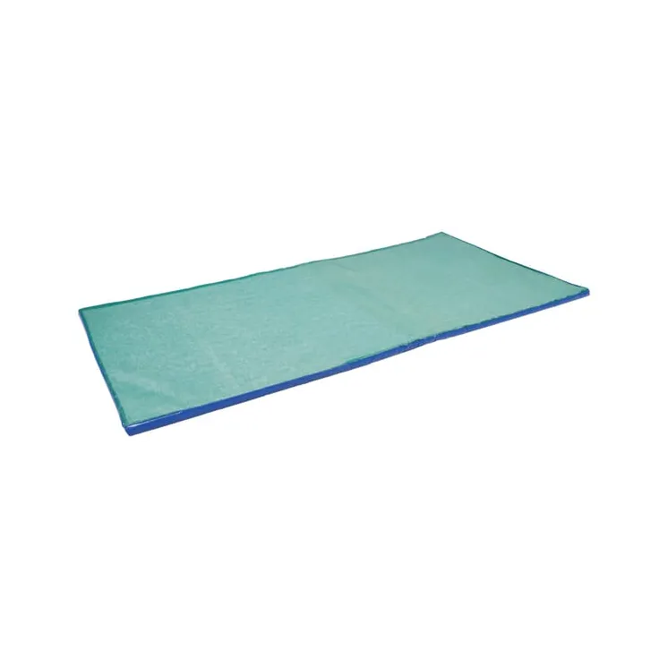 Transporta dezinfekcijas paklājs 380 x 110 x 4 cm 1640452065 AGRA LV