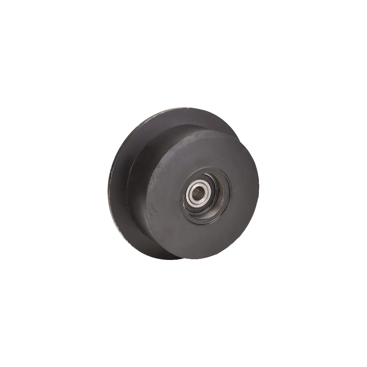 Support roller 150 20039267N AGRA LV