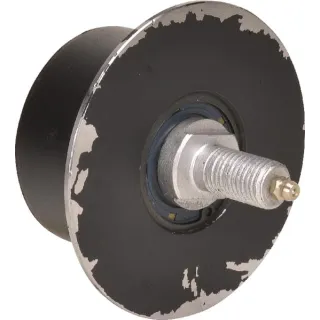 Roller 20029586N AGRA LV
