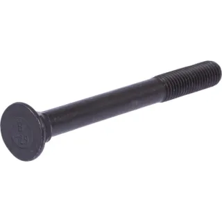 Kontrskrūve M12x120 DIN608 548320N AGRA LV 548320