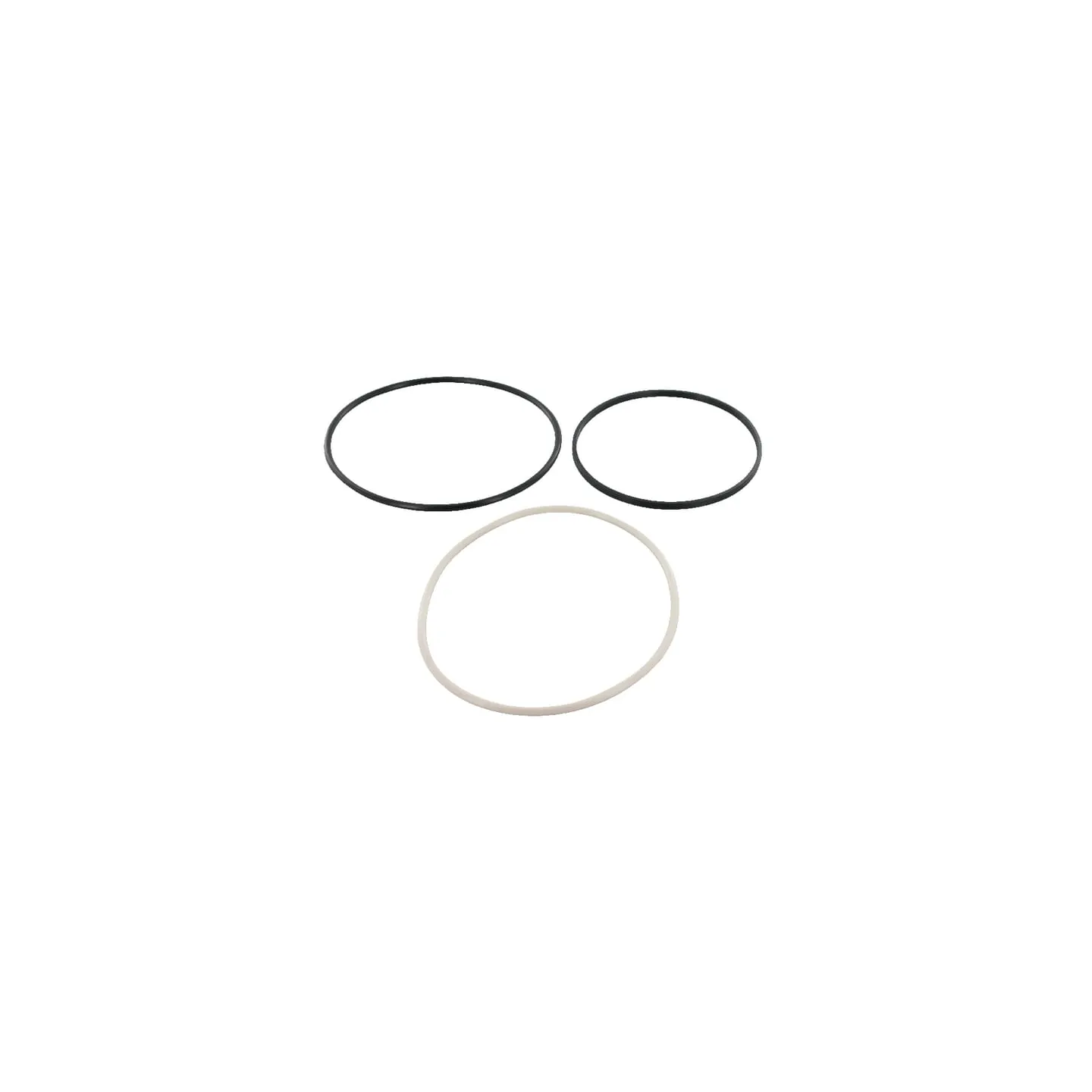 Seal kit O-ring AR65507N AGRA LV 2400AR65507