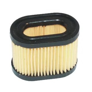 Air filter 5.5hp FGP001354 AGRA LV 30030R