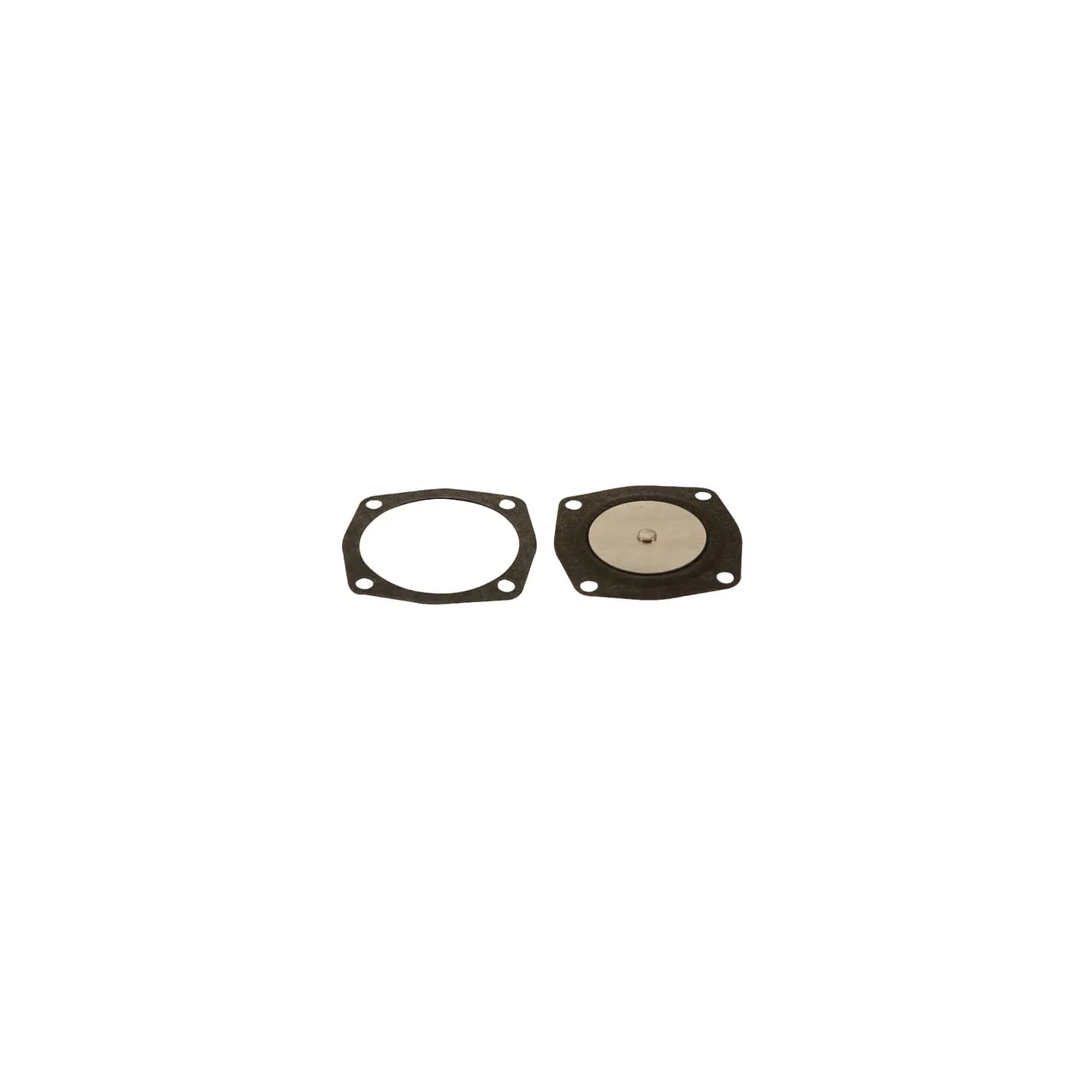 Diafragma un blīve FGP001321 AGRA LV 49002R