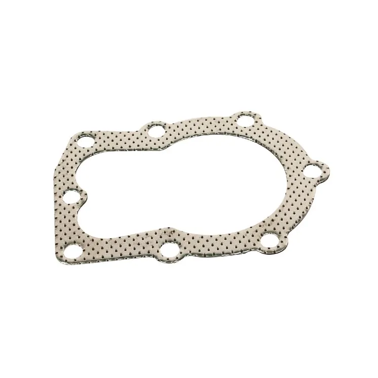 Galvas blīve (lav 35) FGP001742 AGRA LV