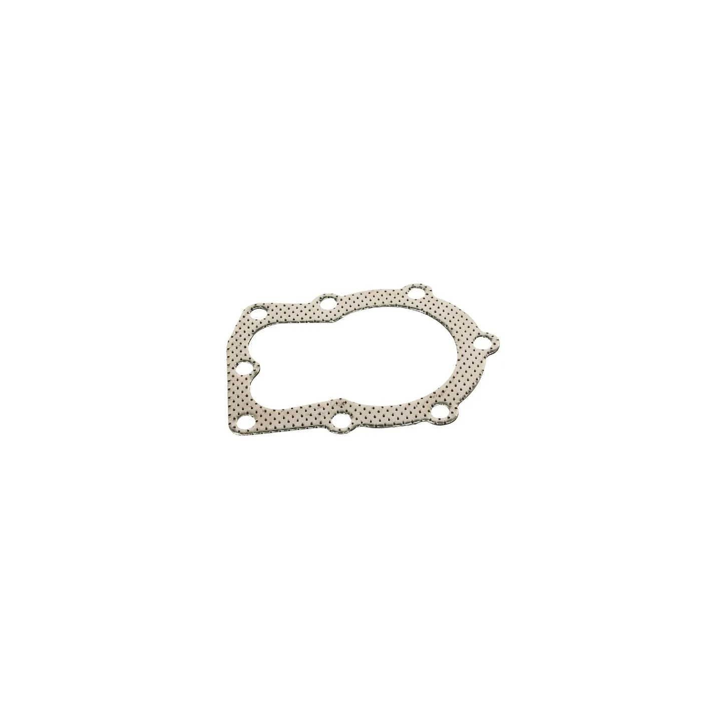 Galvas blīve (lav 35) FGP001742 AGRA LV