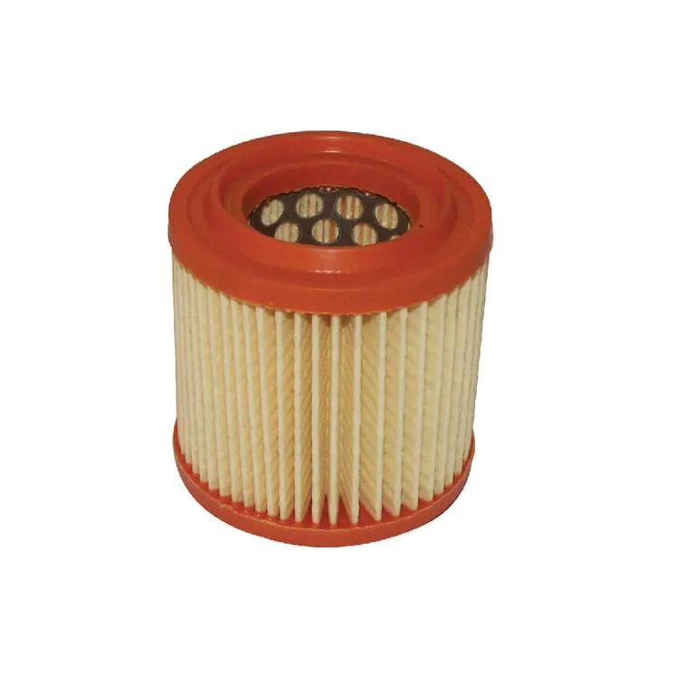 Gaisa filtrs FGP013889 AGRA LV