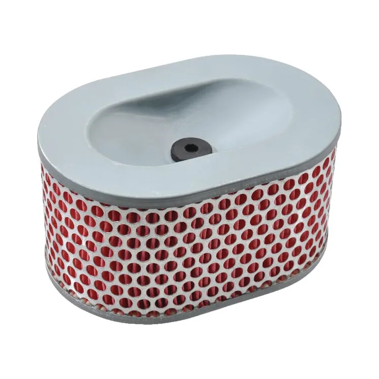 Air filter 114650-12540 FGP013787 AGRA LV