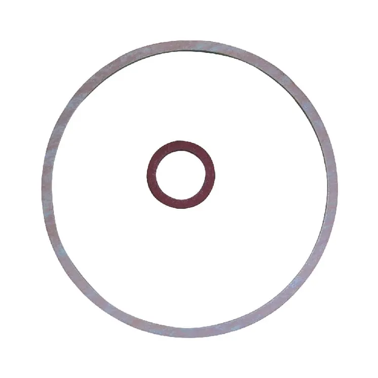 Float bowl seal FGP456396 AGRA LV