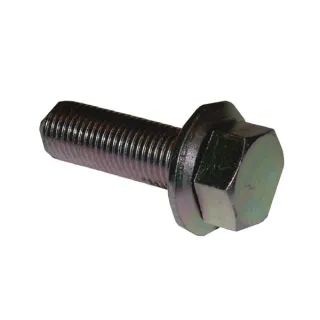 Skrūve M10x1x30mm FGP453064 AGRA LV