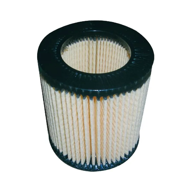 Gaisa filtrs FGP456566 AGRA LV