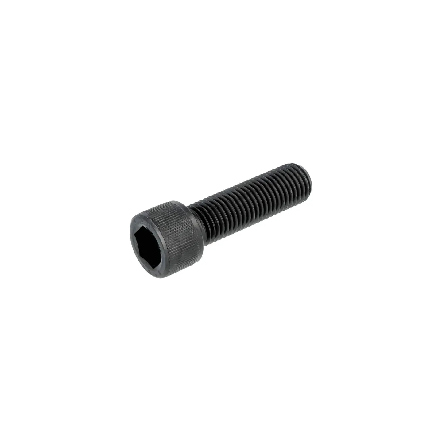 Cilindrisks sešstūra skrūve 16x55 12.9 KE10860 AGRA LV