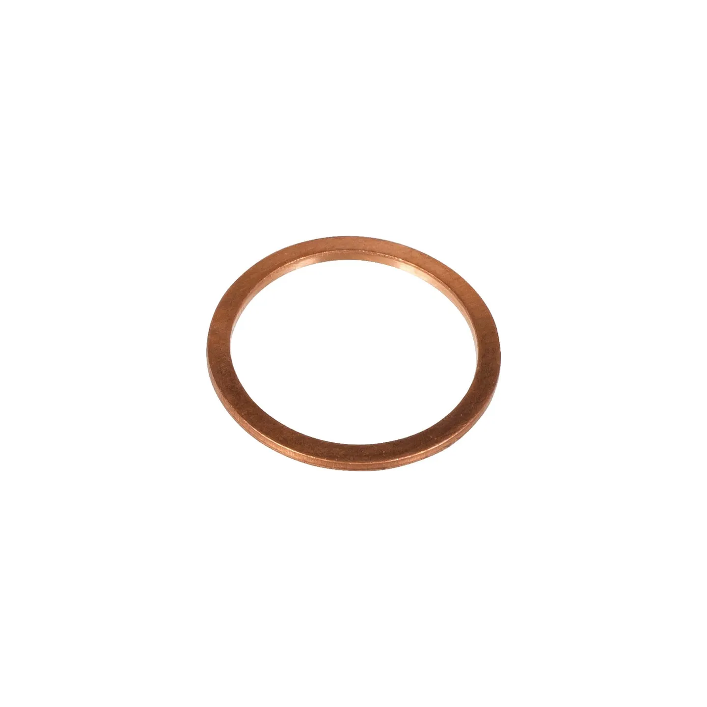 Seal 10263460 CNH