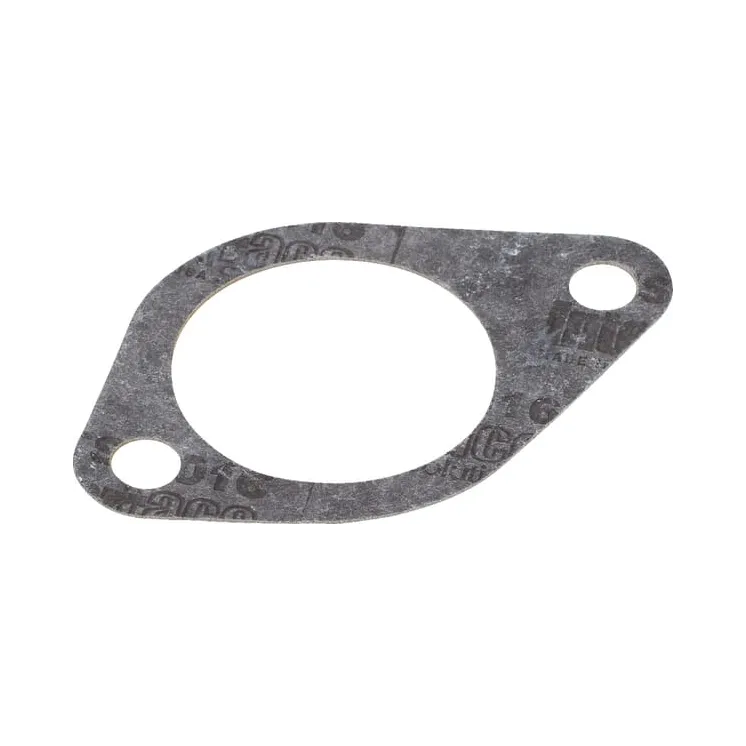 Thermostat House Gasket 132000060720 CNH