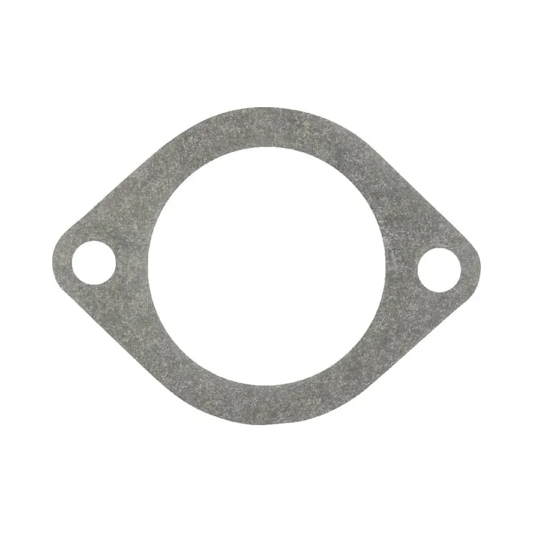 Thermostat Gasket 132000060712 CNH