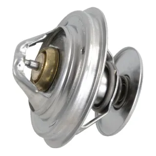 Thermostat 132000060726 CNH