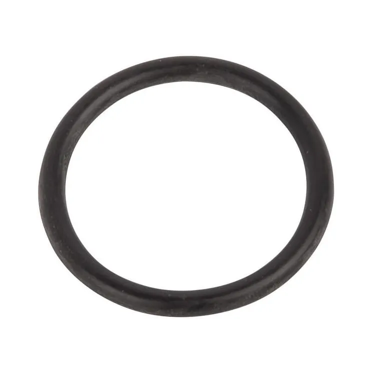 O-ring 14463680 CNH