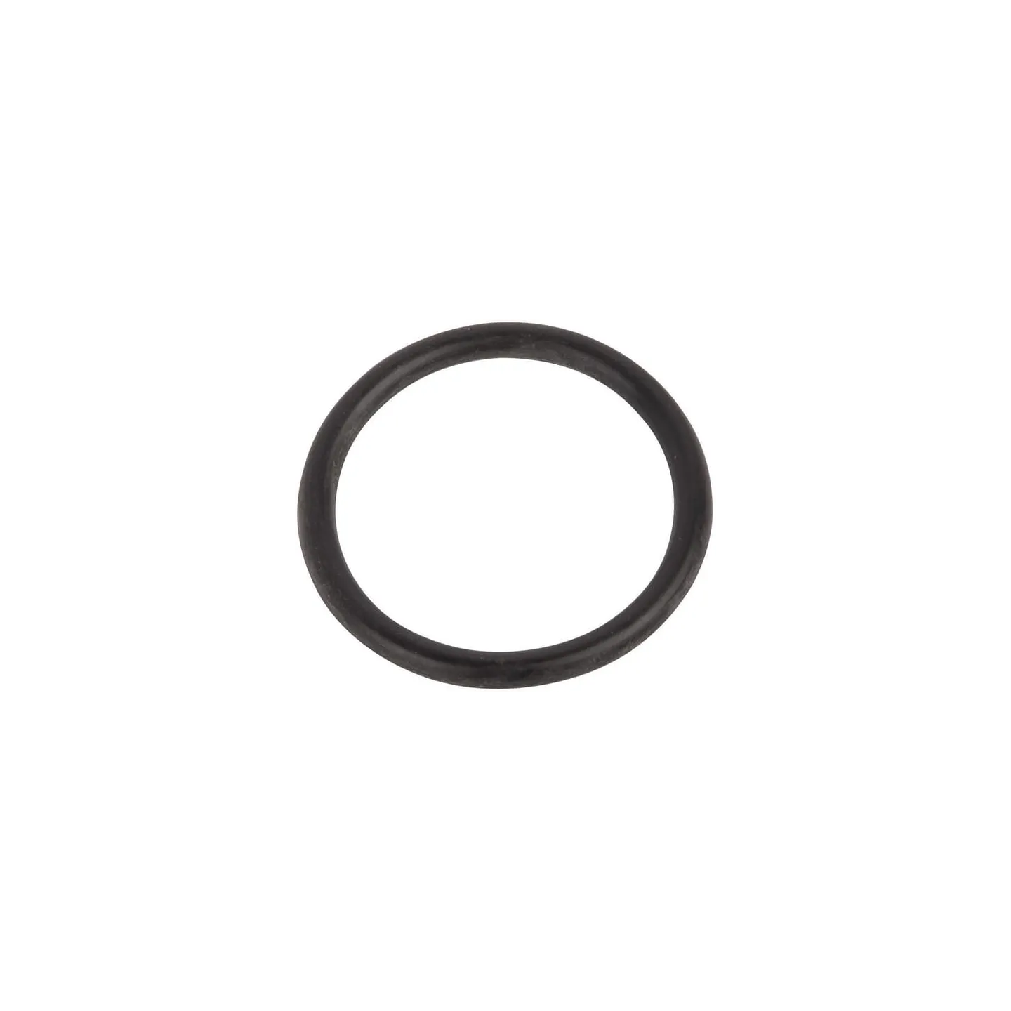 O-ring 14463680 CNH