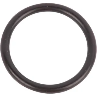 O-Ring 14438185 CNH