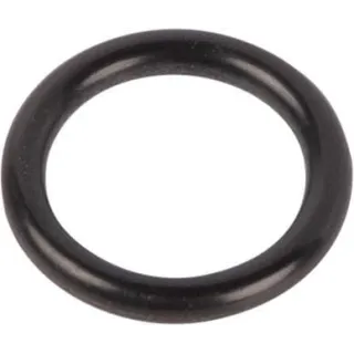 O-Ring 14437585 CNH