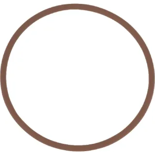 O-ring 14459881 CNH