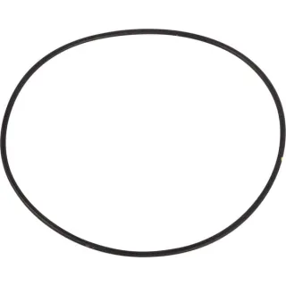 O-ring 14461480 CNH