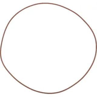 O-ring 14469481 CNH
