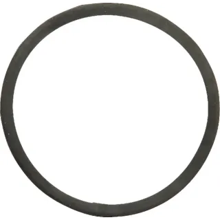 Thermostat Gasket 130100061002 CNH