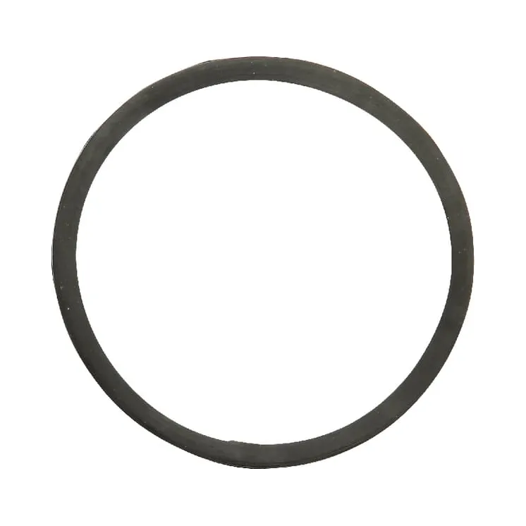 Thermostat Gasket 130100061002 CNH