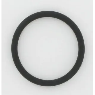 O-Ring 162084060702 CNH